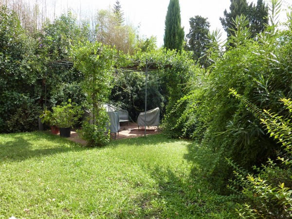 Ingrandisci la foto
