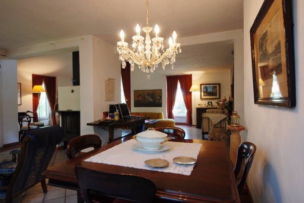 Ingrandisci la foto