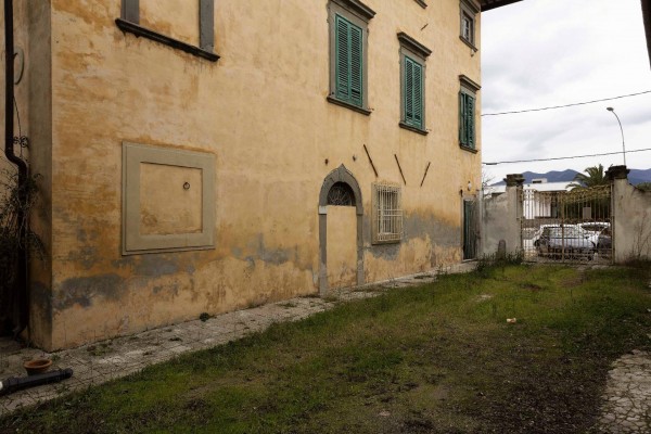 Ingrandisci la foto