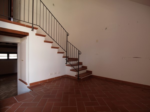 Ingrandisci la foto
