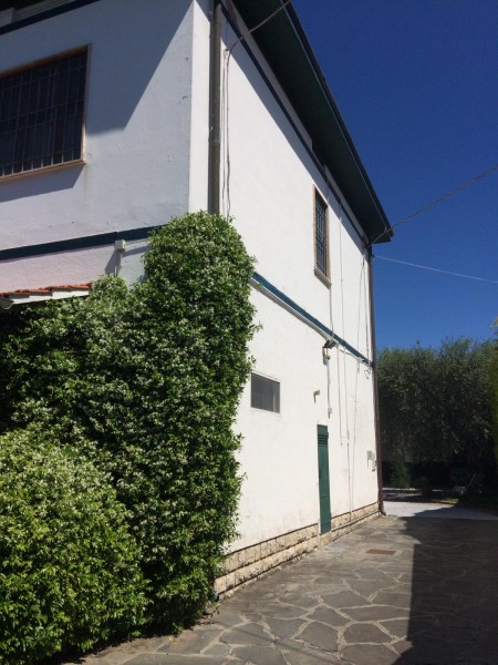 Ingrandisci la foto