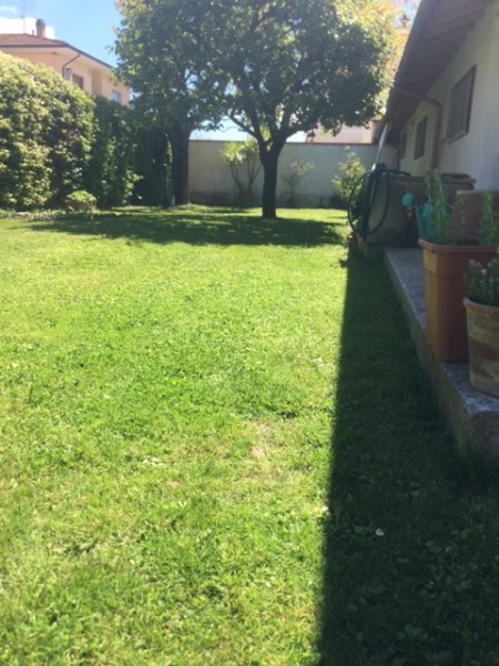 Ingrandisci la foto