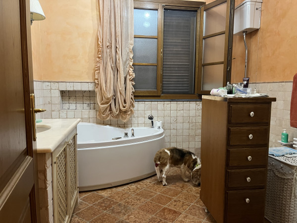 Ingrandisci la foto