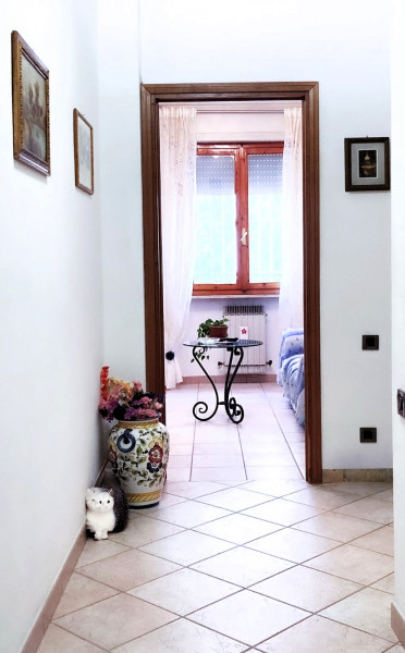 Ingrandisci la foto