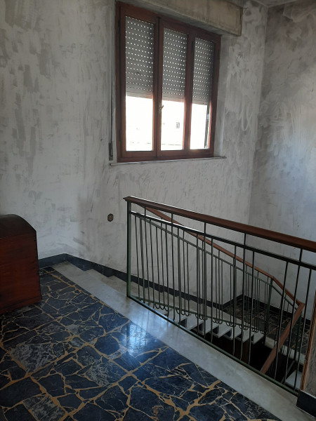 Ingrandisci la foto