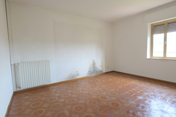 Ingrandisci la foto