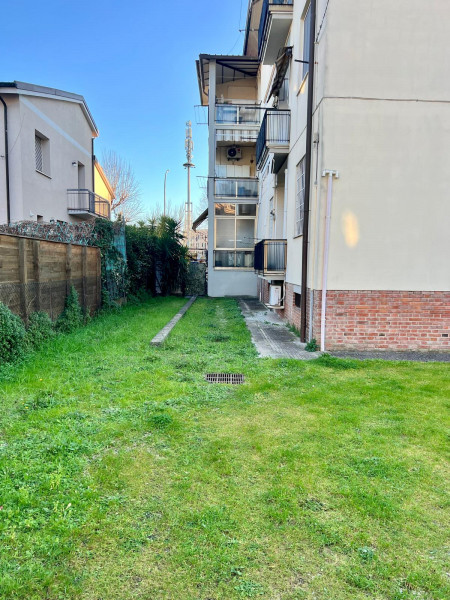 Ingrandisci la foto