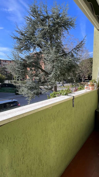 Ingrandisci la foto
