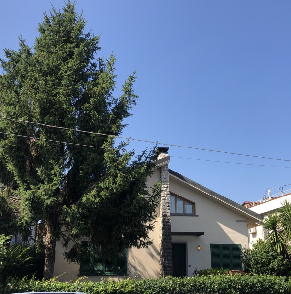 Ingrandisci la foto
