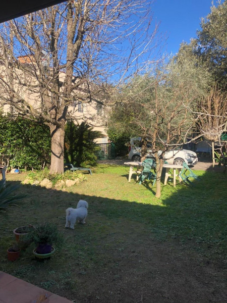 Ingrandisci la foto
