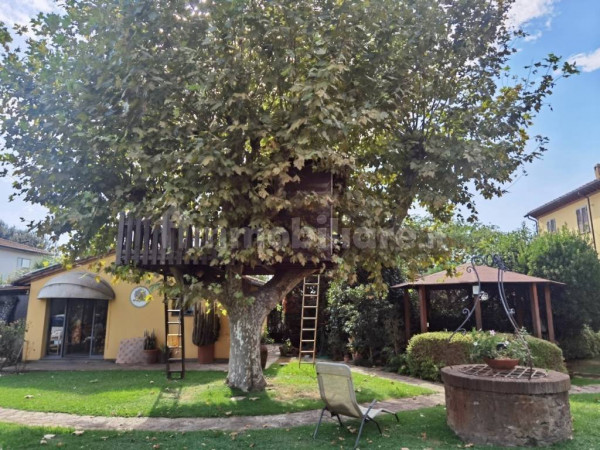 Ingrandisci la foto