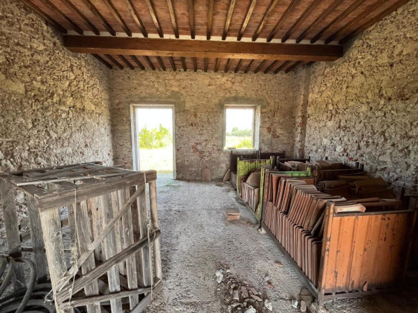 Ingrandisci la foto