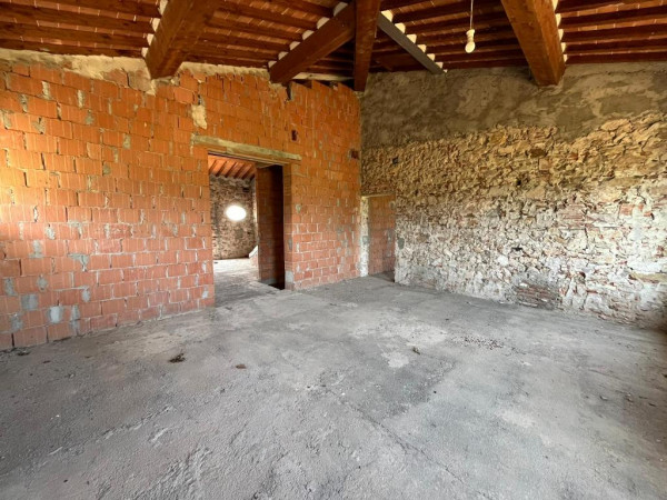 Ingrandisci la foto