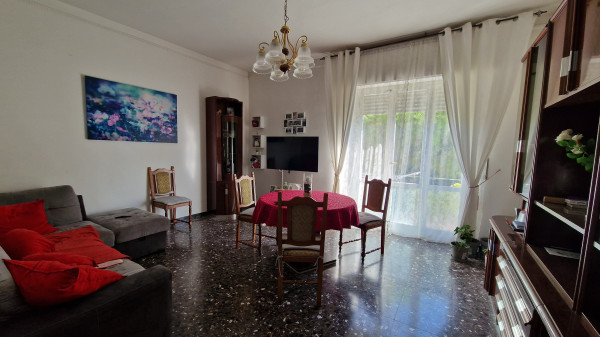Ingrandisci la foto
